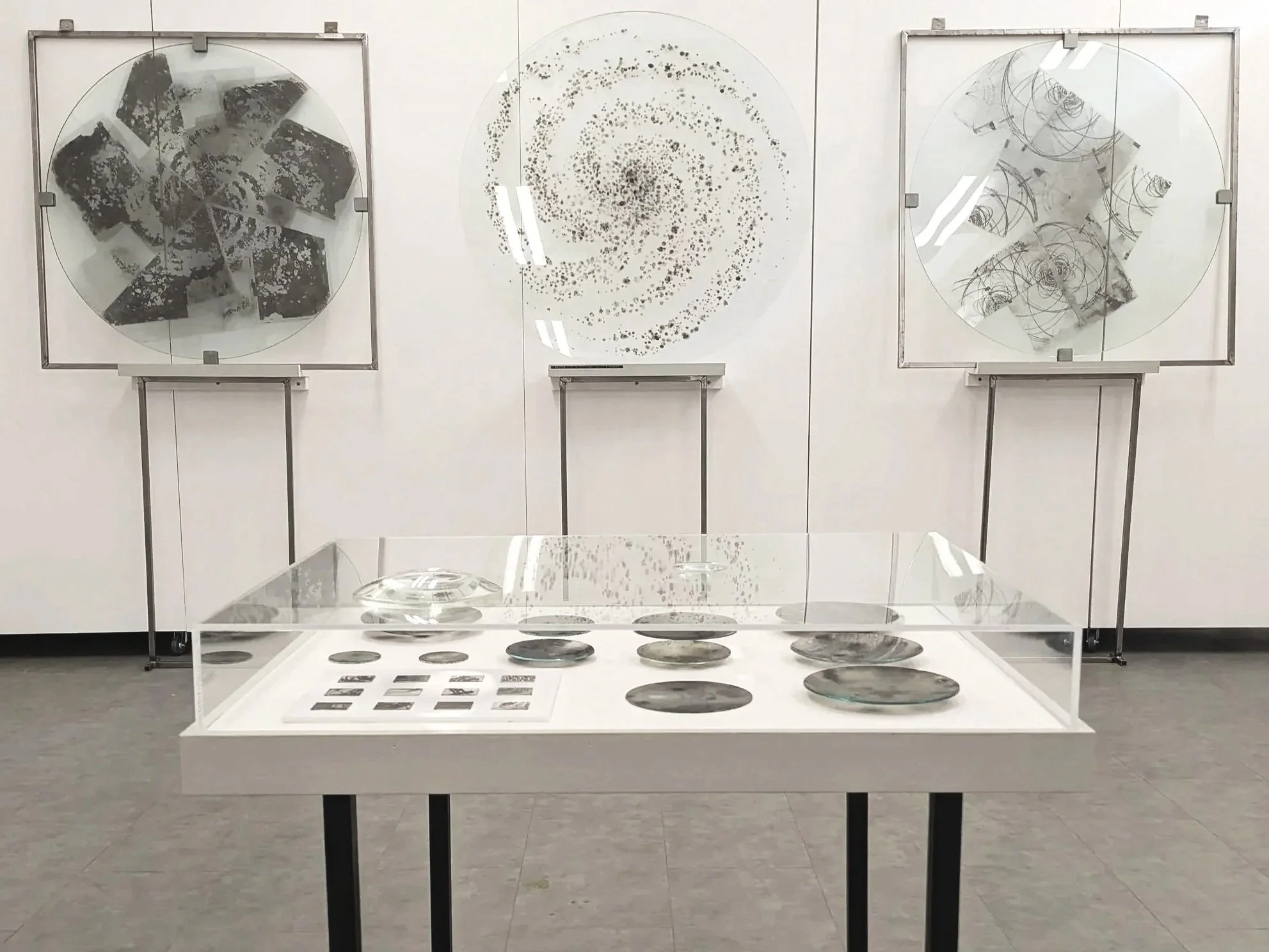 WD Bloomsbury Installation View