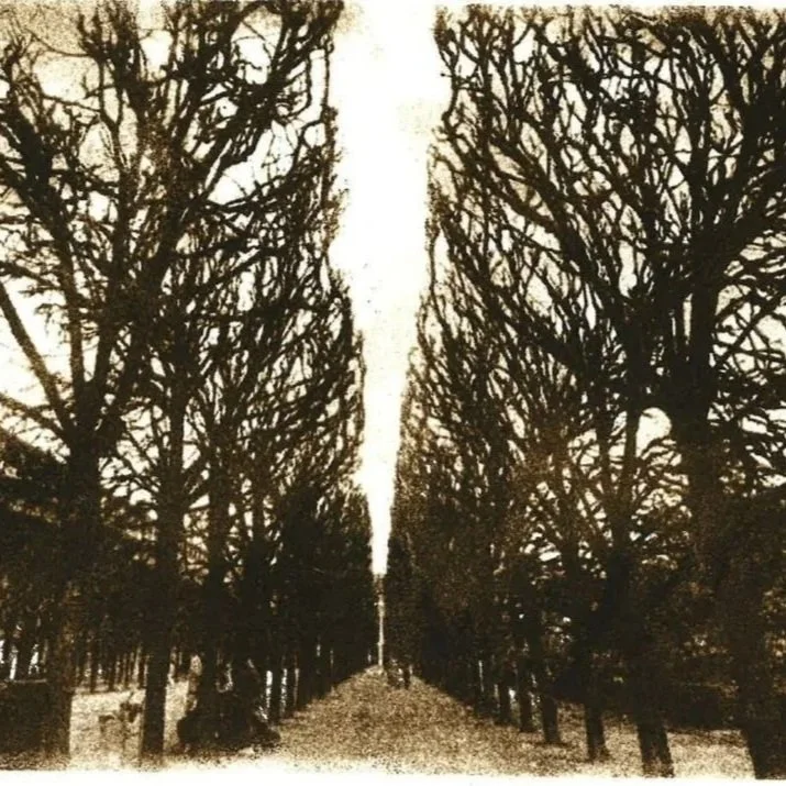 R Godbole Paris Paper Lithograph April 26