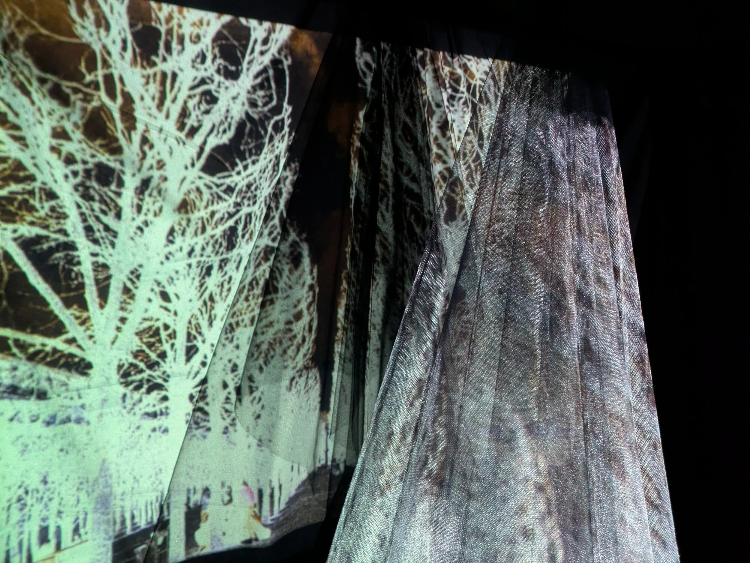 R Godbole 2024 Light Projection 10