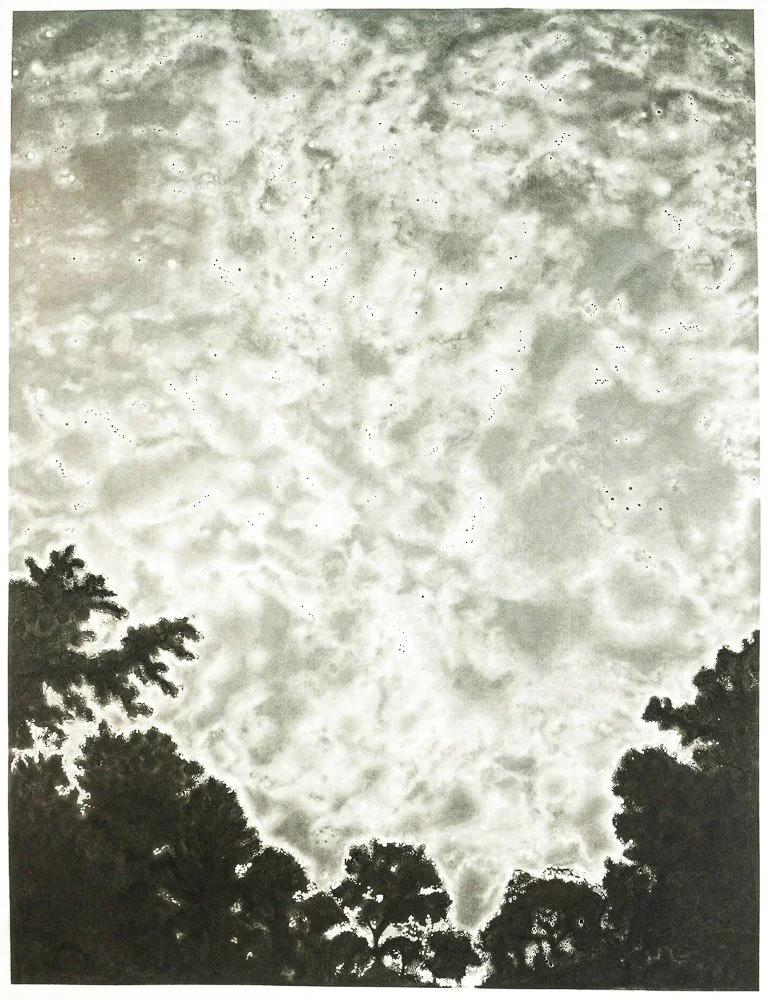 R Godbole The Milky Way as Seen From Earth 25 Graphite & Charcoal on Paper 900 x 1250mm.jpg