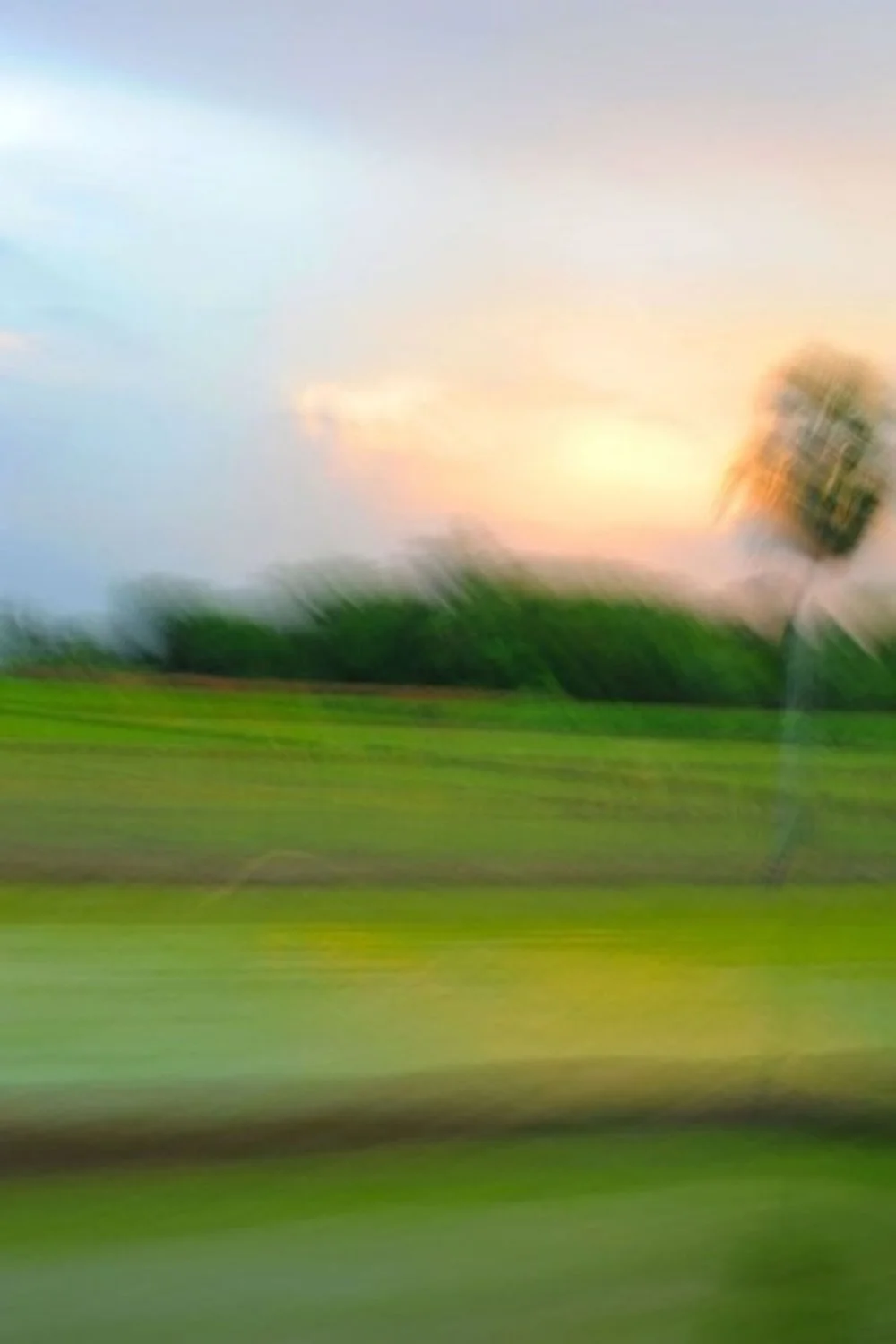 blurred lifestyle image of grass and sky in brand identity design for art therapist consultant photographer