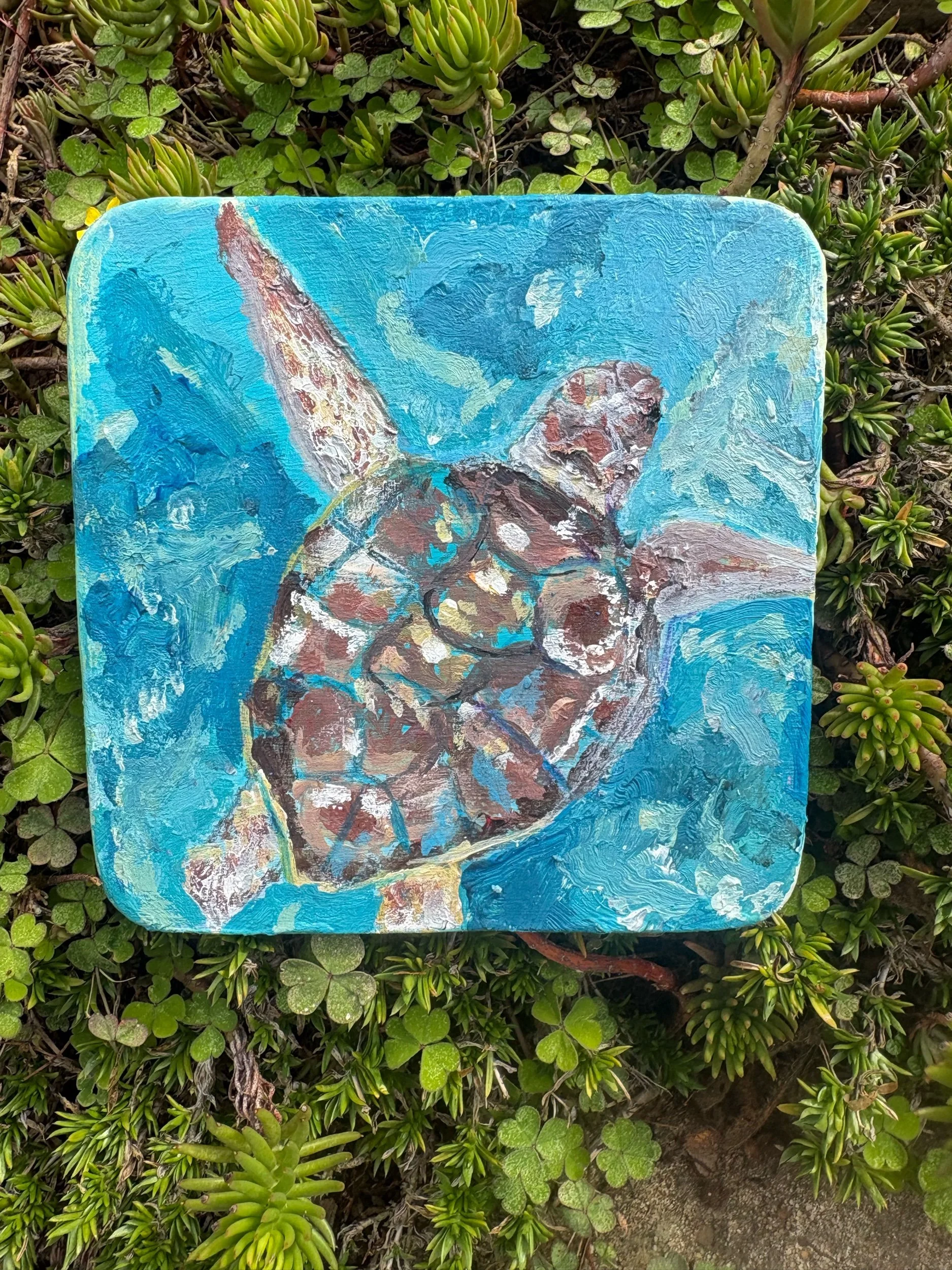 Turtle coaster