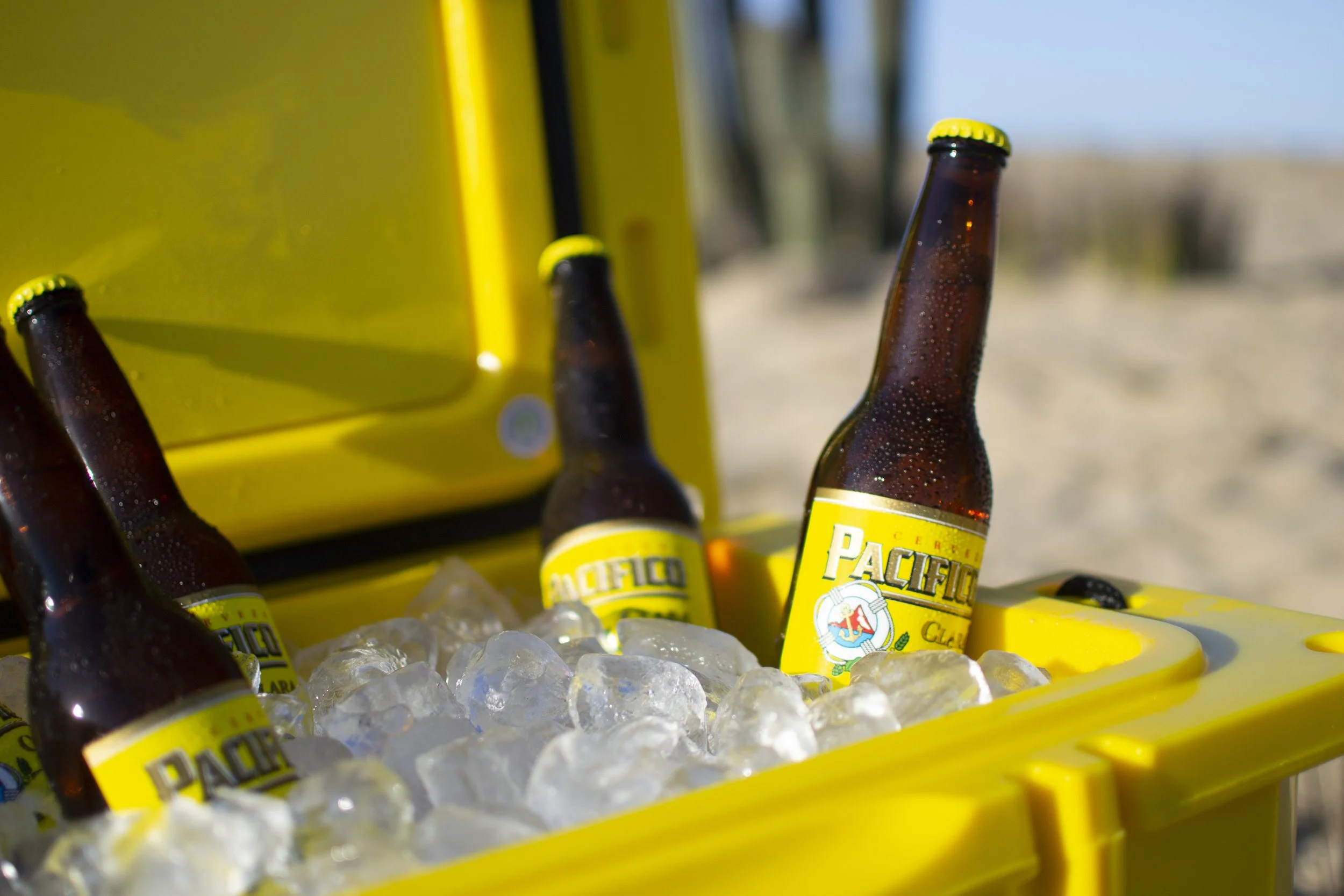 Pacifico Brand