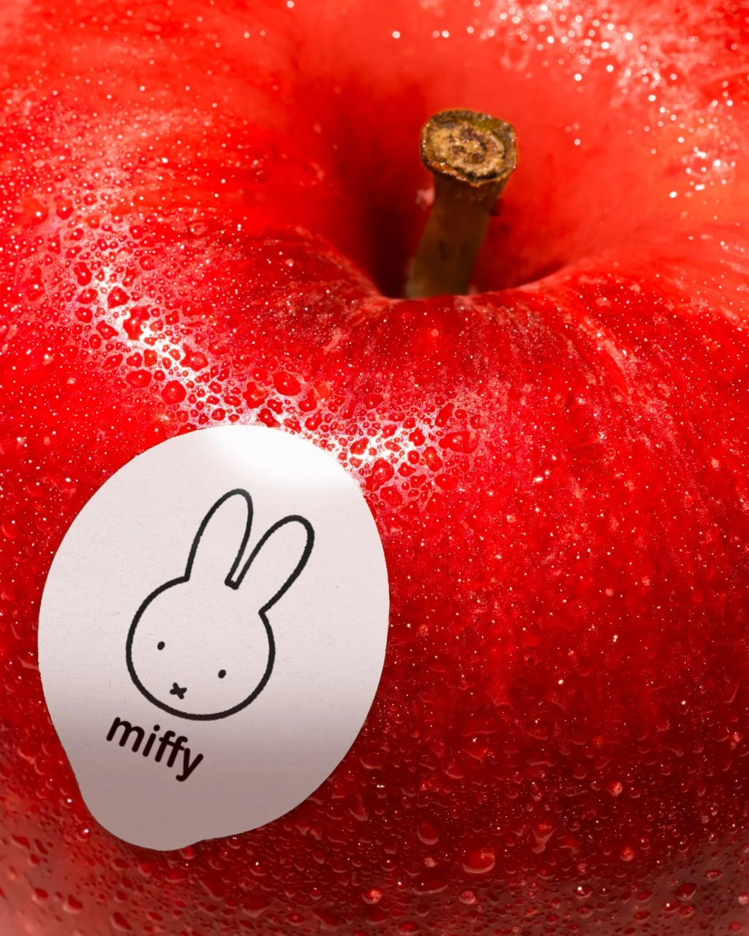 Miffy - Flavour Image.jpg