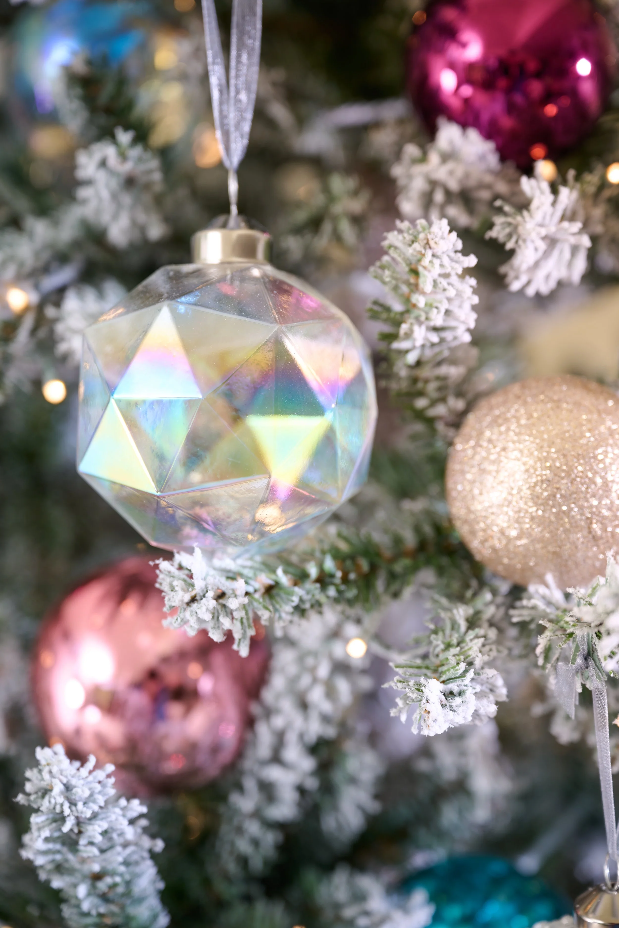 PPY_Christmas_2025_grab_24_crop.jpg