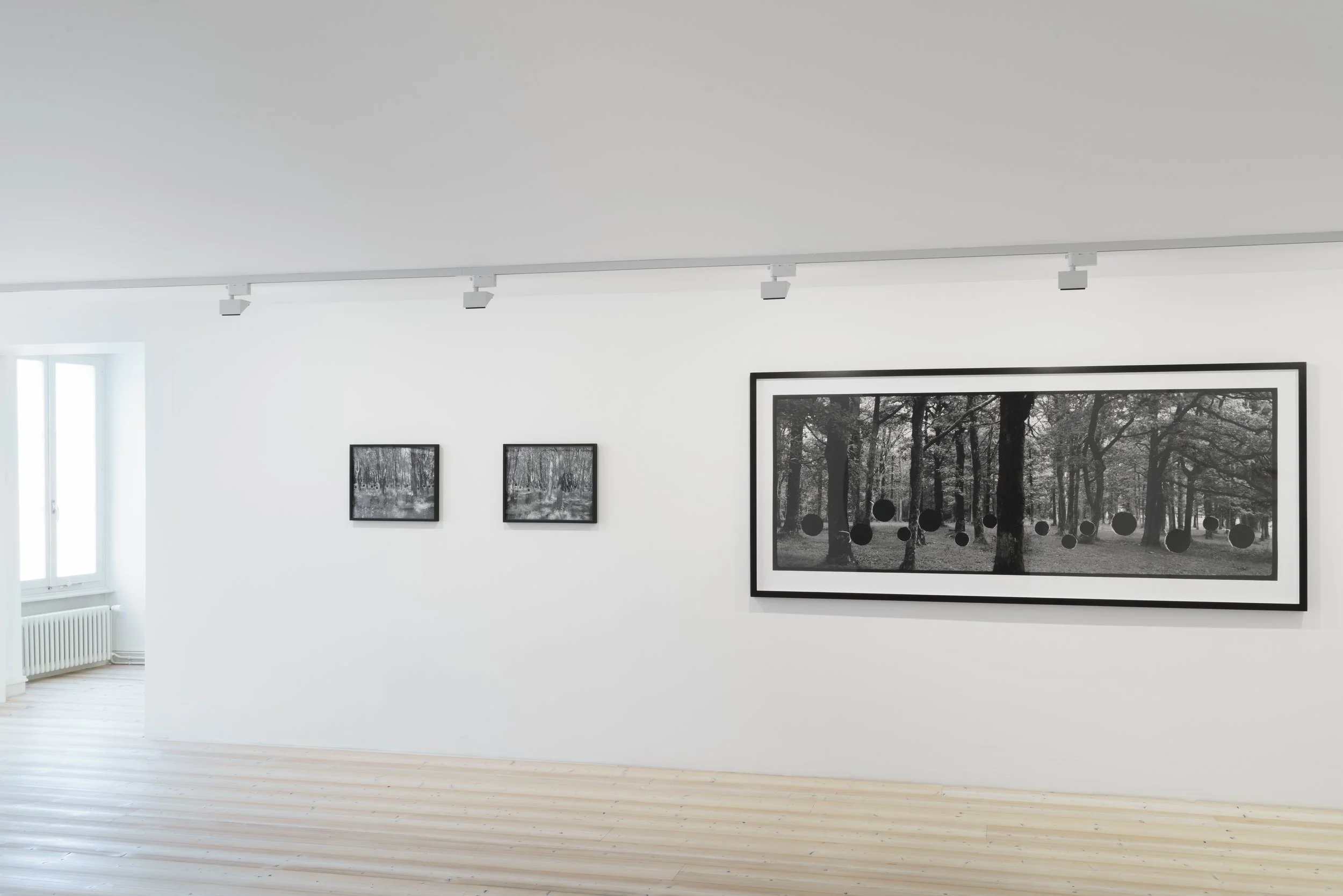 ‘Evidences du réel; La photographie face à ses lacunes’, Musée d’Art de Pully, Lausanne, 2017