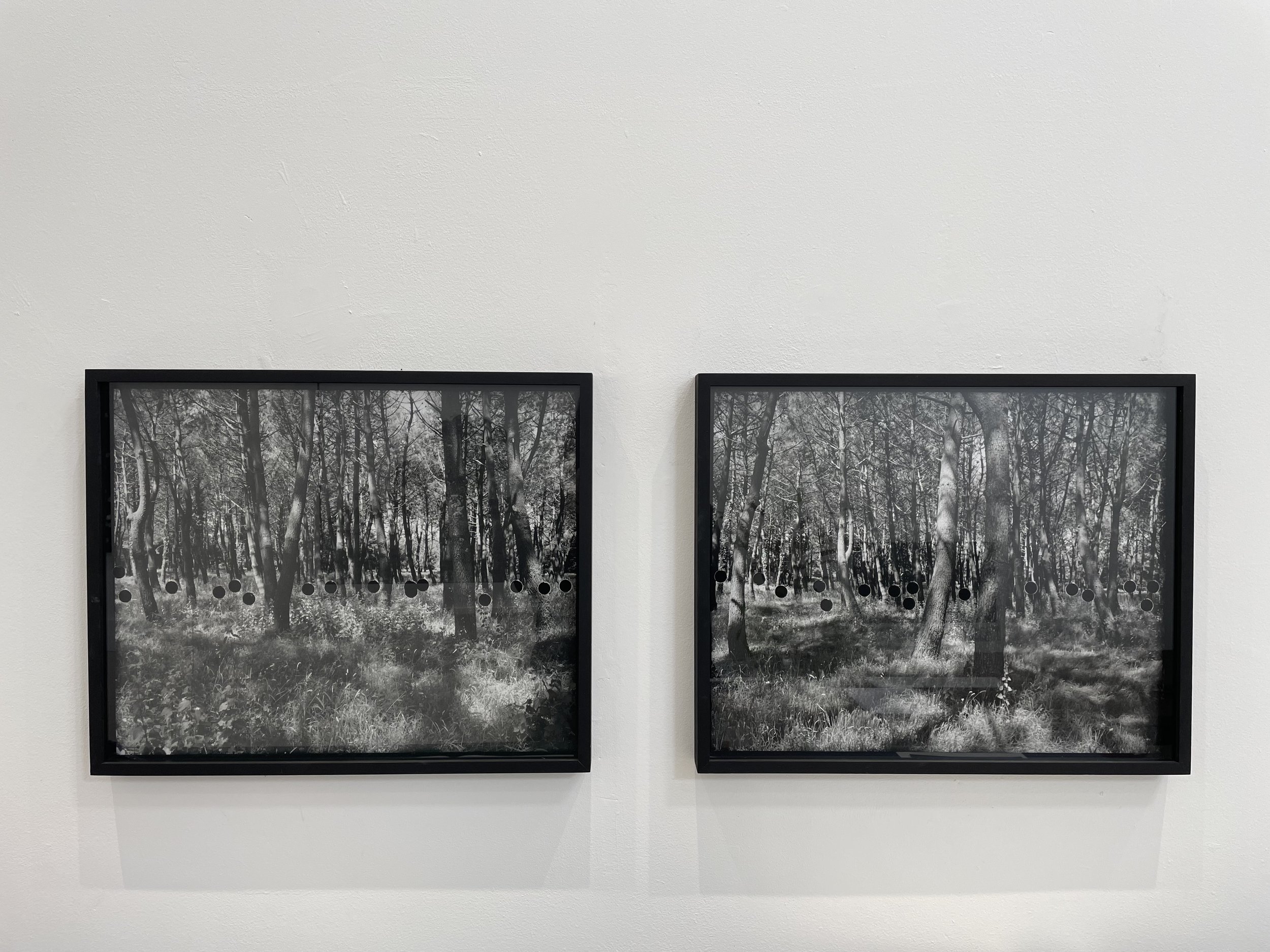 ‘Into The Woods', Benjamin Parsons x Hannah Payne, Photo Oxford Festival, Oxford, 2023