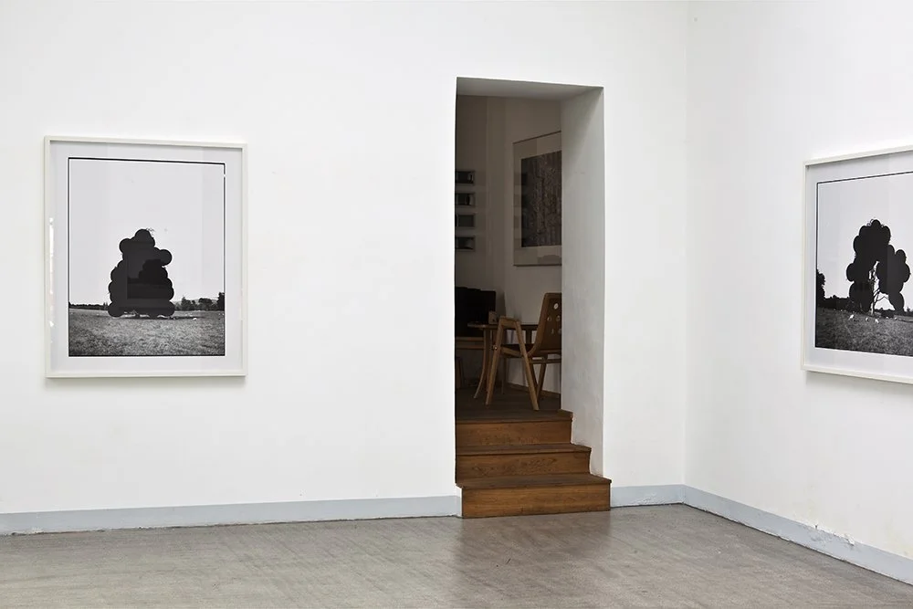 ‘Wilful Damage’, Galerie Raum mit Licht, Vienna, 2011