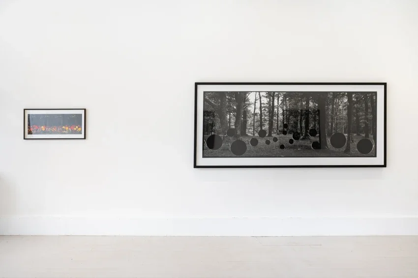 ‘Into The Woods', Benjamin Parsons x Hannah Payne, Photo Oxford Festival, Oxford, 2023