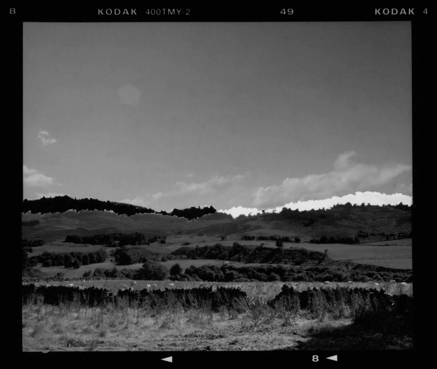 &ldquo;Torn&rdquo;, black and white photograph on vintage paper, from torn and re-arranged negatives, 10 x 12 cm, 2026 

#tornnegatives 
#postphotography 
#wip 
#mediumformatphotography