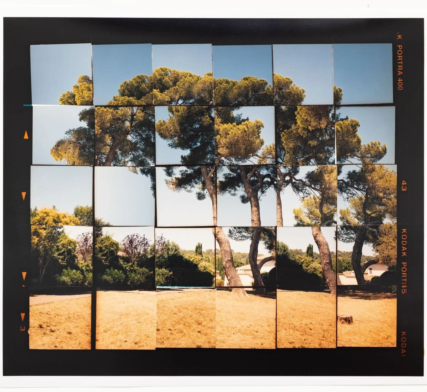 After taking rolls and rolls of film 📷 in the summer in Provence this body of work is finally coming together! 
#homageacezanne 
#wip
#mediumformat 

&ldquo;Le Grand Pin, Aix&rdquo;, colour photograph from two cut and rearranged negatives, 55 x 45cm