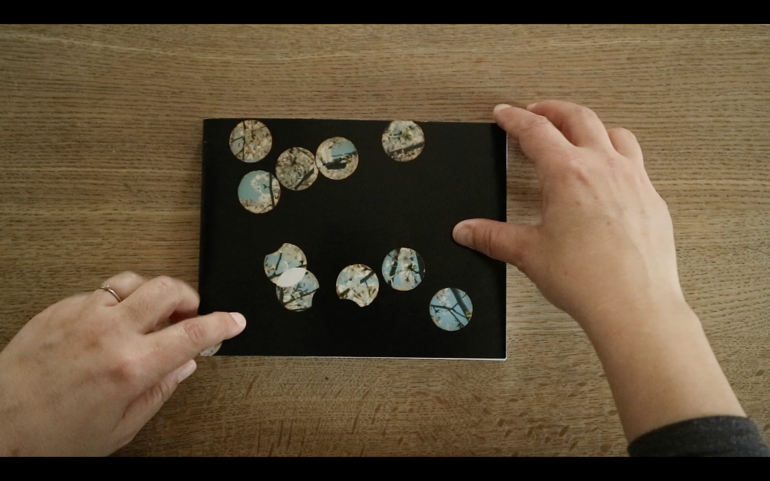 ’10,000 Fallen Petals’, 24 pages, essay by Duncan Woolridge, 2020 