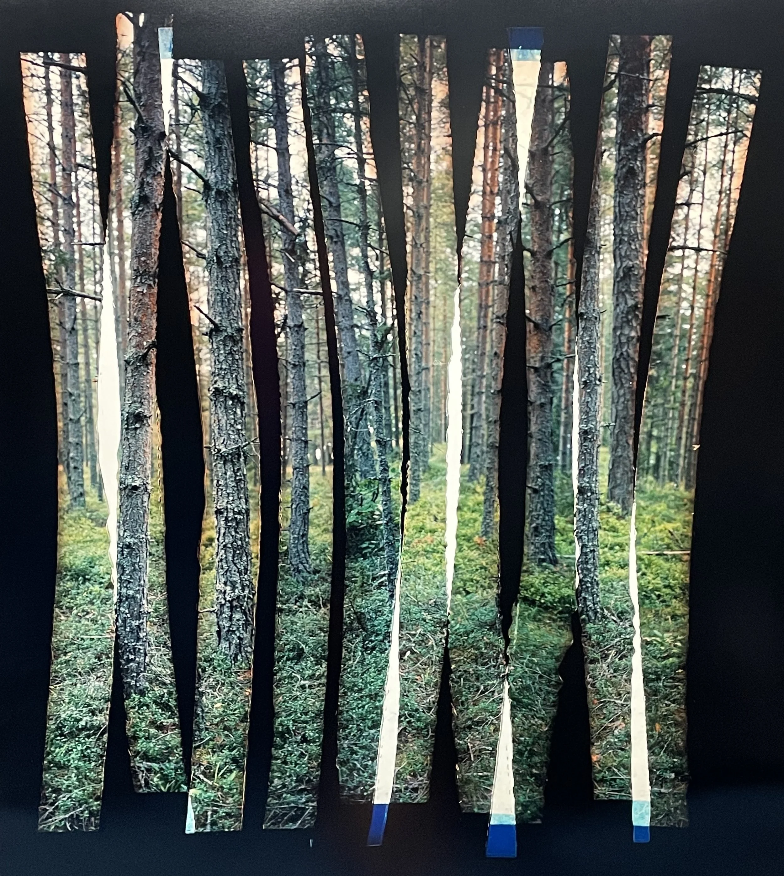 ‘Into The Woods’, unique colour photograph from shredded negative, 100 x 110 cm, 2023