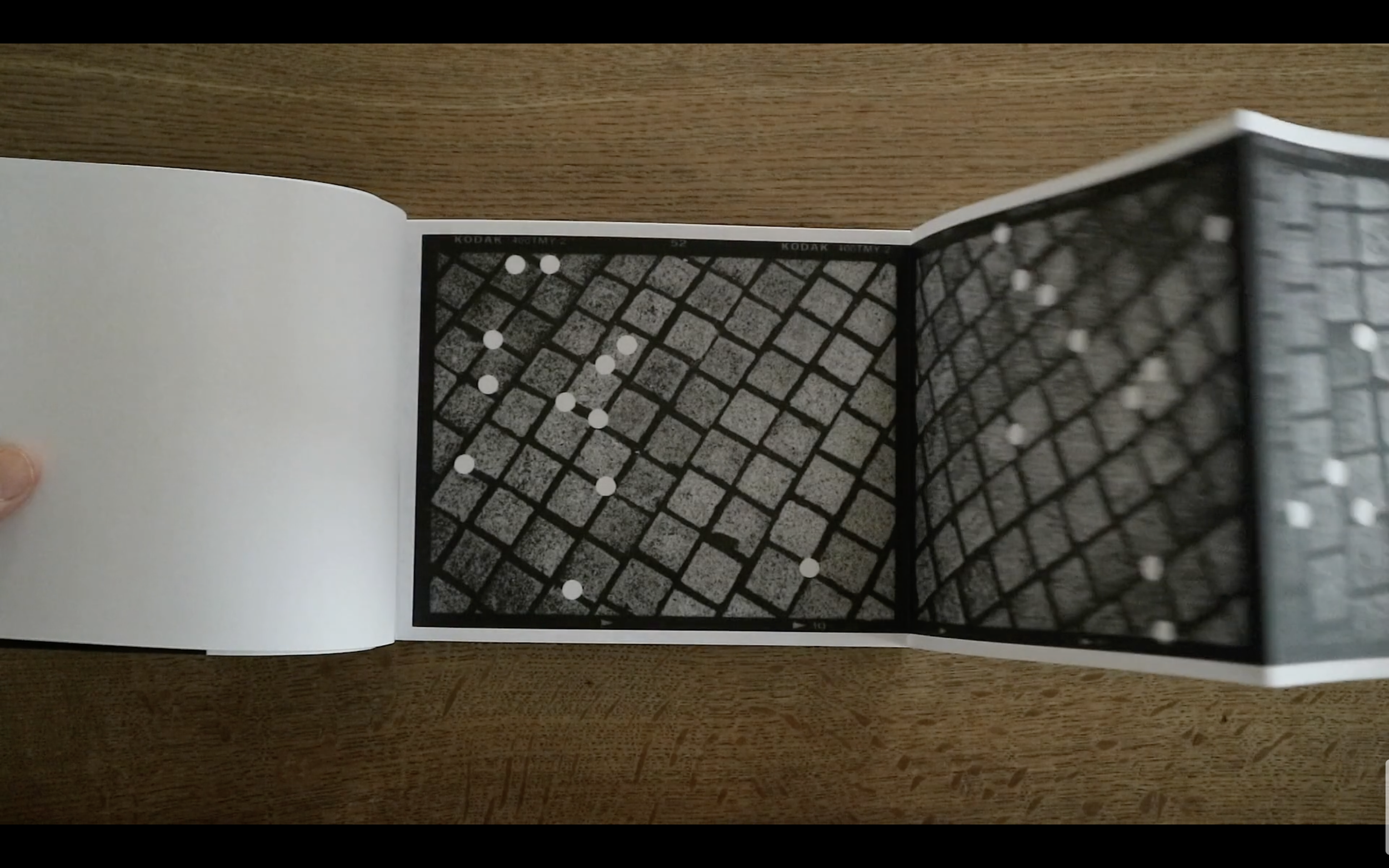 ’10,000 Fallen Petals’, 24 pages, essay by Duncan Woolridge, 2020 