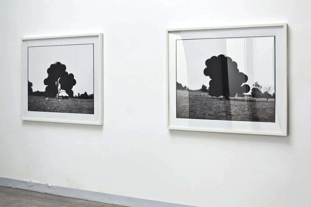 ‘Wilful Damage’, Galerie Raum mit Licht, Vienna, 2011