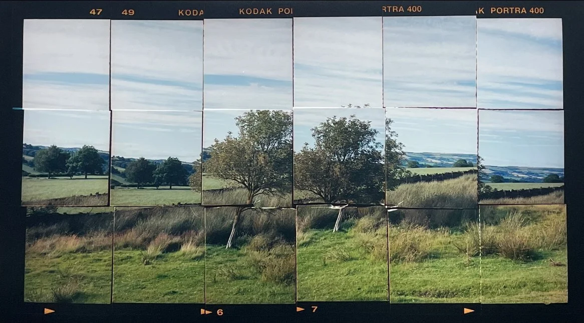 A photographic slide test chart displaying the landscape scene of a field with trees and grass, divided into multiple segments for focus and resolution testing.