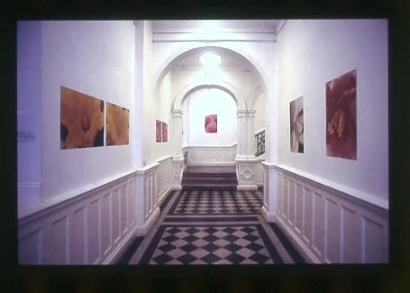 ’Spotted’, Ruskin School of Fine Art, Oxford, 1997