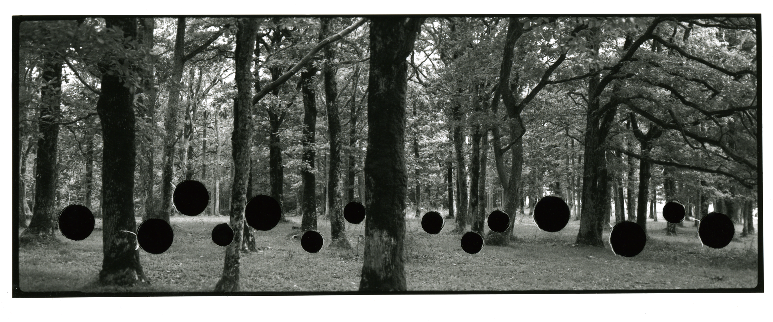 'The Hunt, (after Uccello)', black and white photograph from hole-punched negative, 224 x 85 cm, 2011
