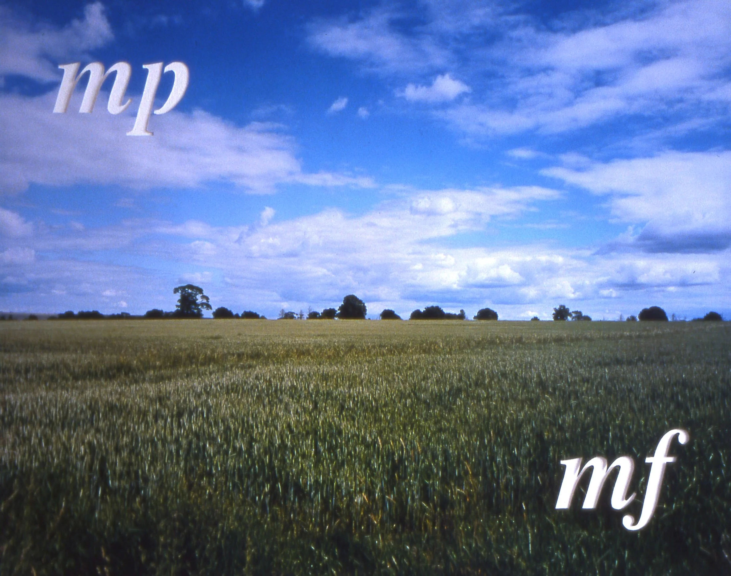 'Rather Soft, Rather Loud', cut colour photograph mounted on perspex, 57 x 71 cm, 2001