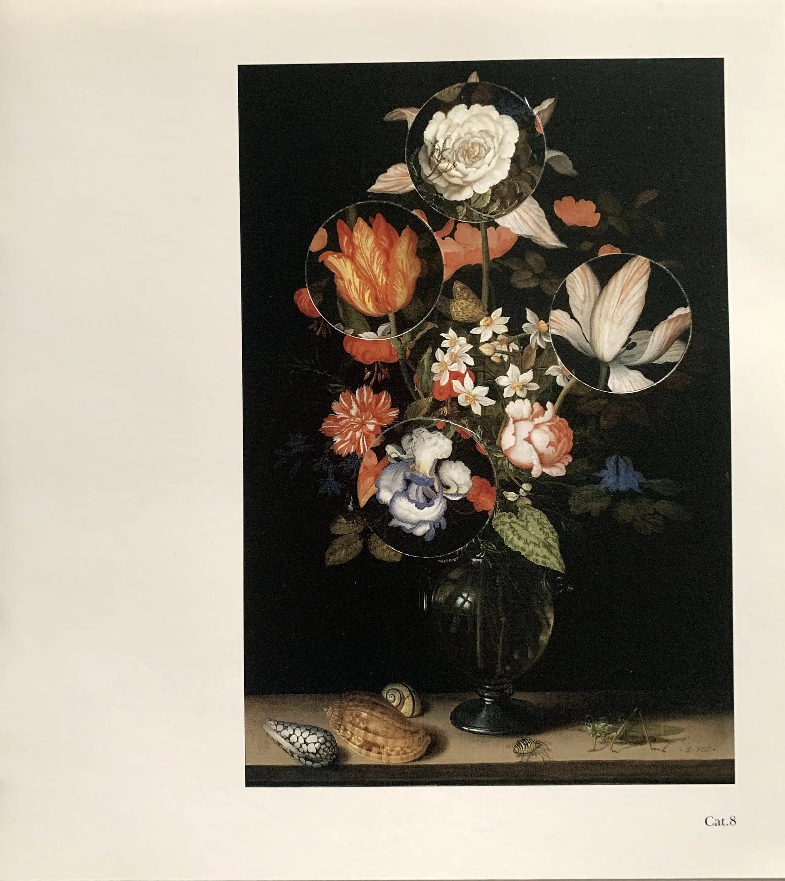 ’Turbulence (Cat. 8 after van der Ast)’, cut and rearranged album page, 21 x 23 cm, 2021