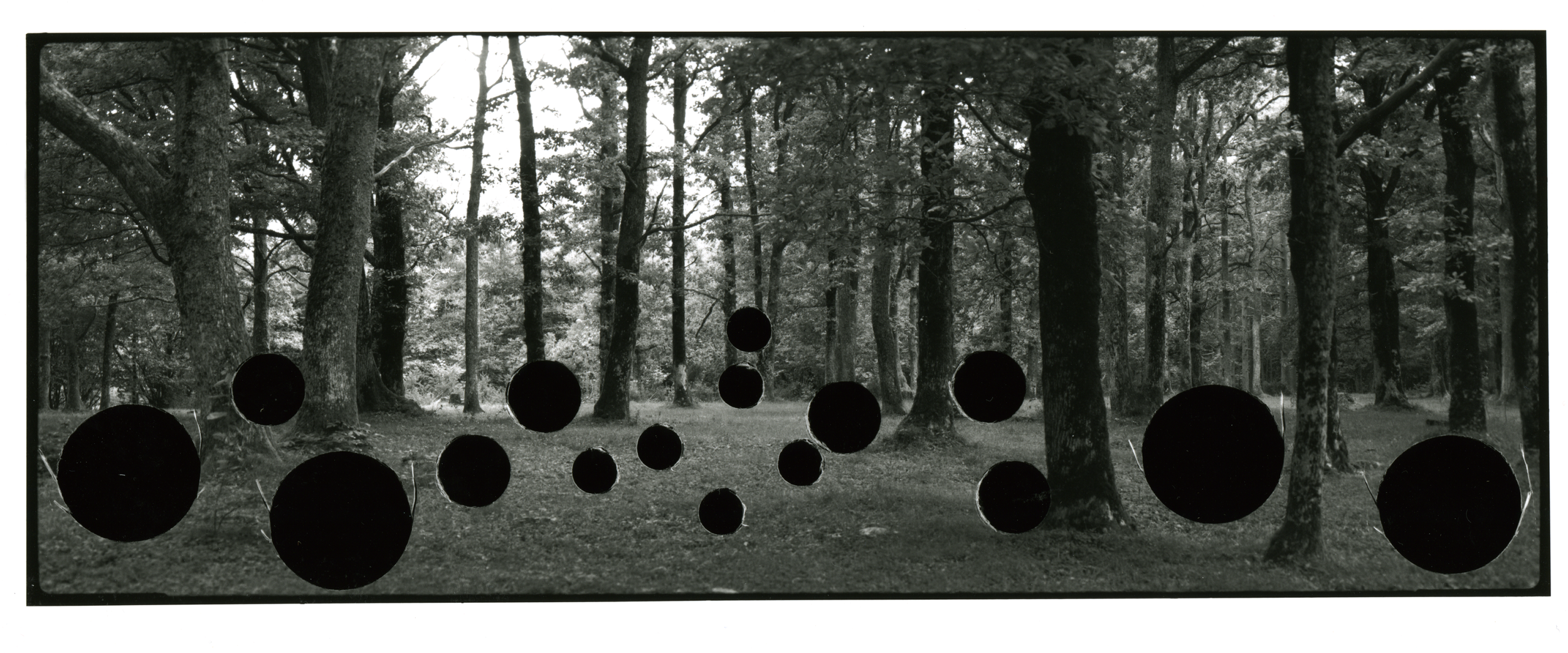 'The Hunt, (after Uccello)', black and white photograph from hole-punched negative, 224 x 85 cm, 2011