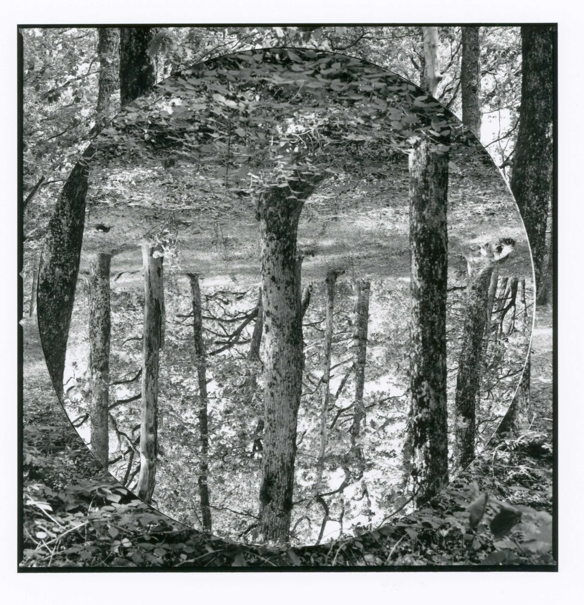 ‘In the beginning...', colour photograph from hole-punched and repositioned negative, 24 x 24 cm, 2022