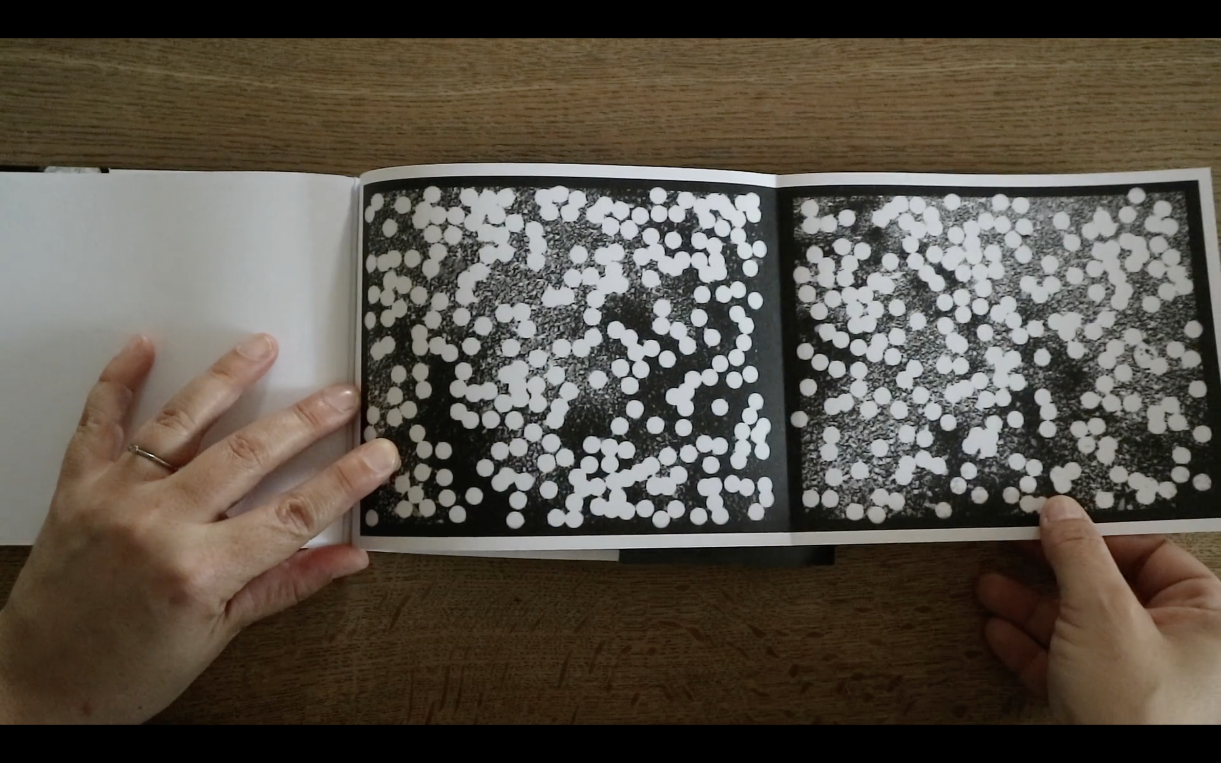 ’10,000 Fallen Petals’, 24 pages, essay by Duncan Woolridge, 2020 