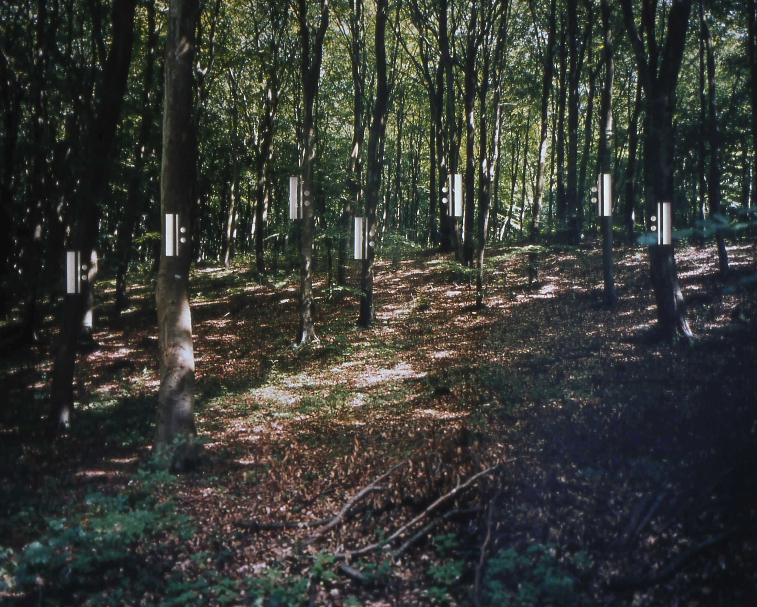 ‘Repeat, Repeat! (Echo and Narcissus)', cut colour photograph mounted on perspex, 57 x 71 cm, 2001