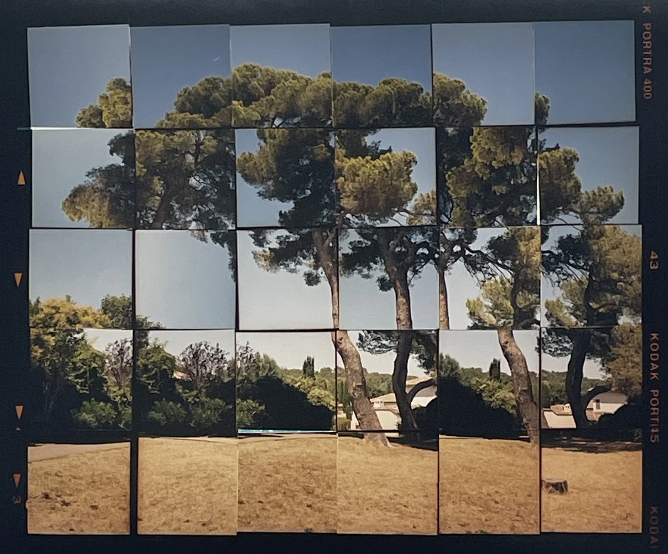 ‘Le Grand Pin, Aix’, colour photograph from two cut and rearranged negatives, 55 x 45 cm, 2025
