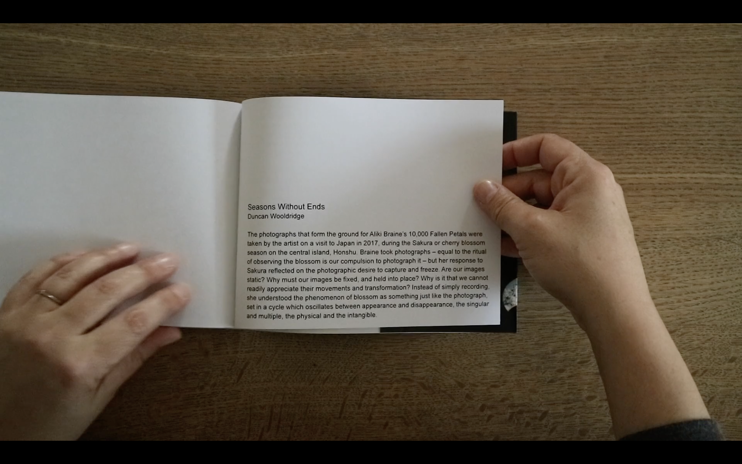 ’10,000 Fallen Petals’, 24 pages, essay by Duncan Woolridge, 2020 