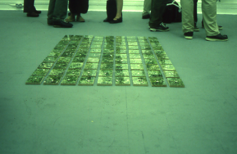 'Daisy Daisy', colour photographs mounted on chip board,  175 x 200 cm, 2001 
