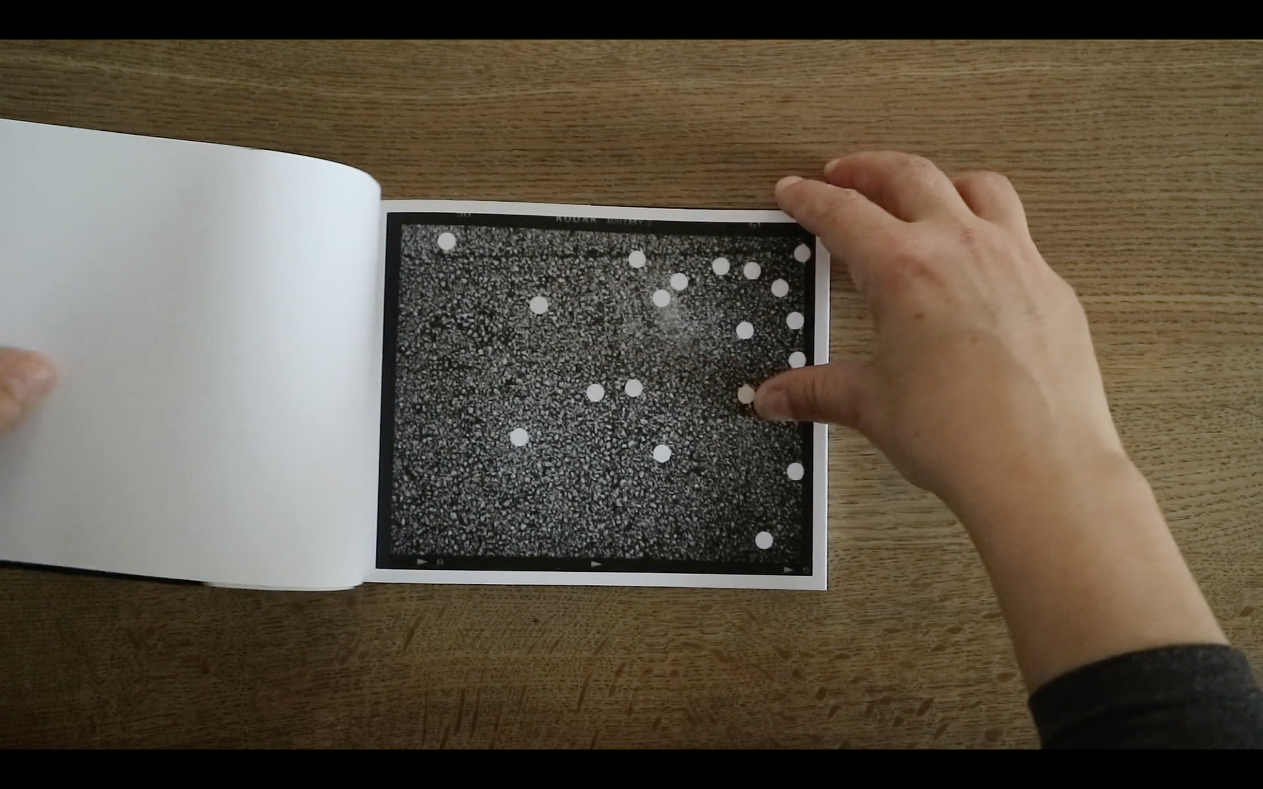 ’10,000 Fallen Petals’, 24 pages, essay by Duncan Woolridge, 2020 