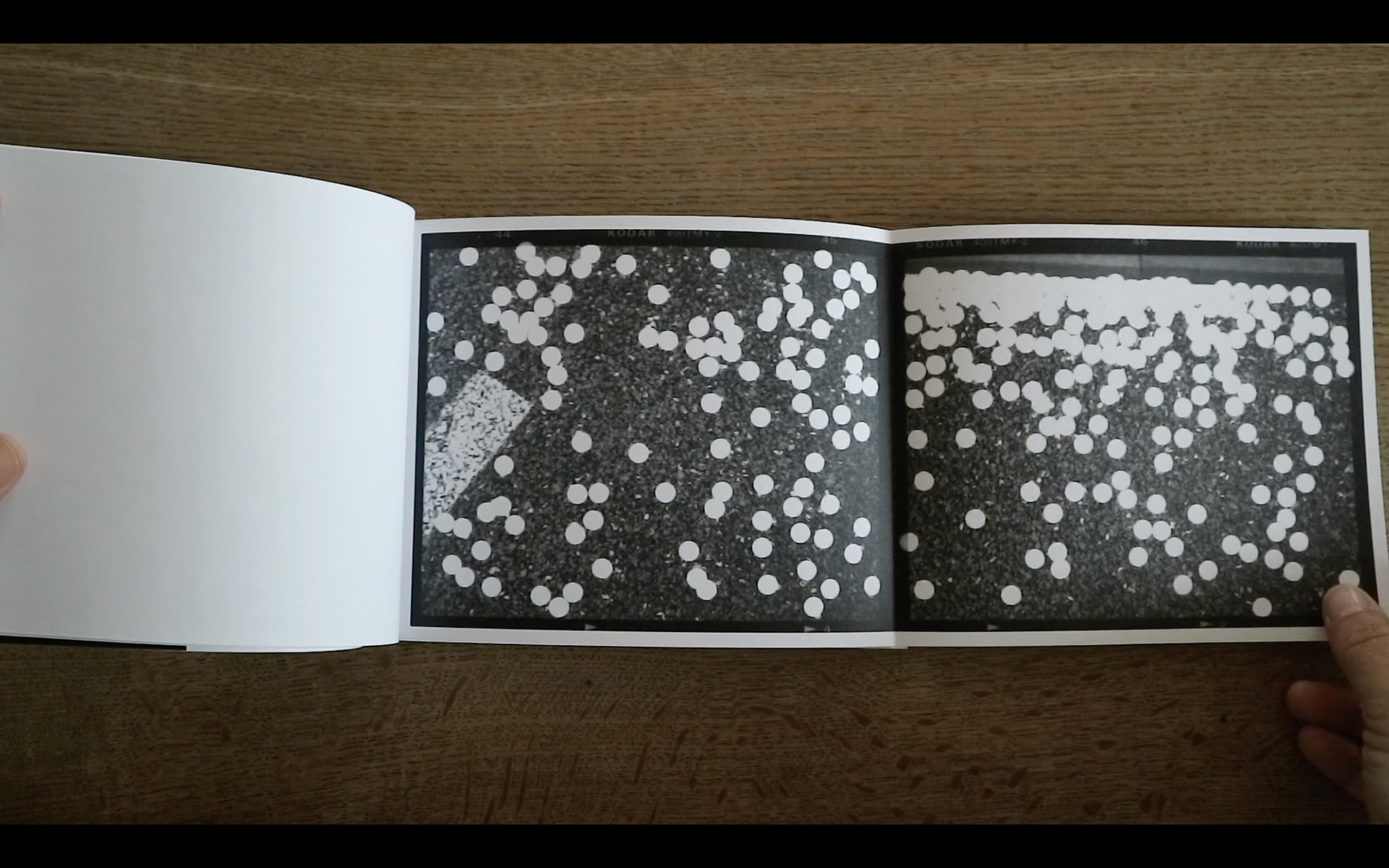 ’10,000 Fallen Petals’, 24 pages, essay by Duncan Woolridge, 2020 