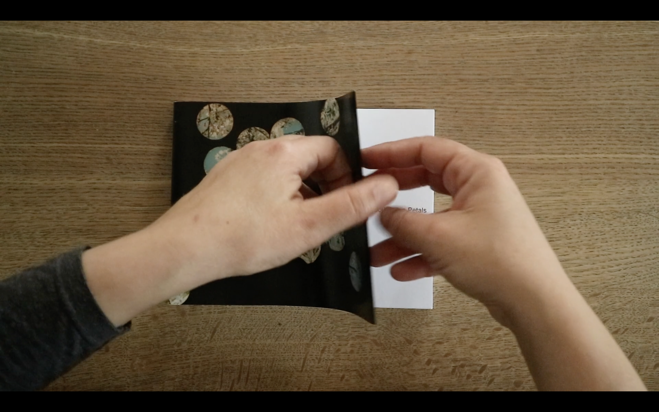 ’10,000 Fallen Petals’, 24 pages, essay by Duncan Woolridge, 2020 