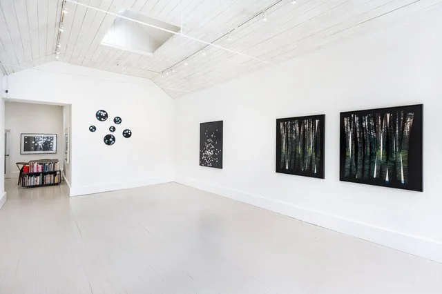 ‘Into The Woods', Benjamin Parsons x Hannah Payne, Photo Oxford Festival, Oxford, 2023