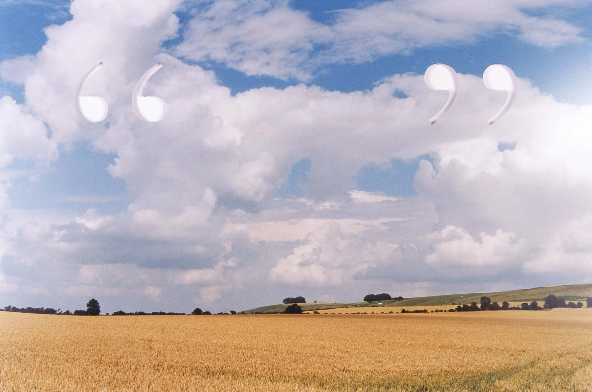 
“Landscape”, cut colour photograph mounted on perspex, 51 x 76 cm, 2001