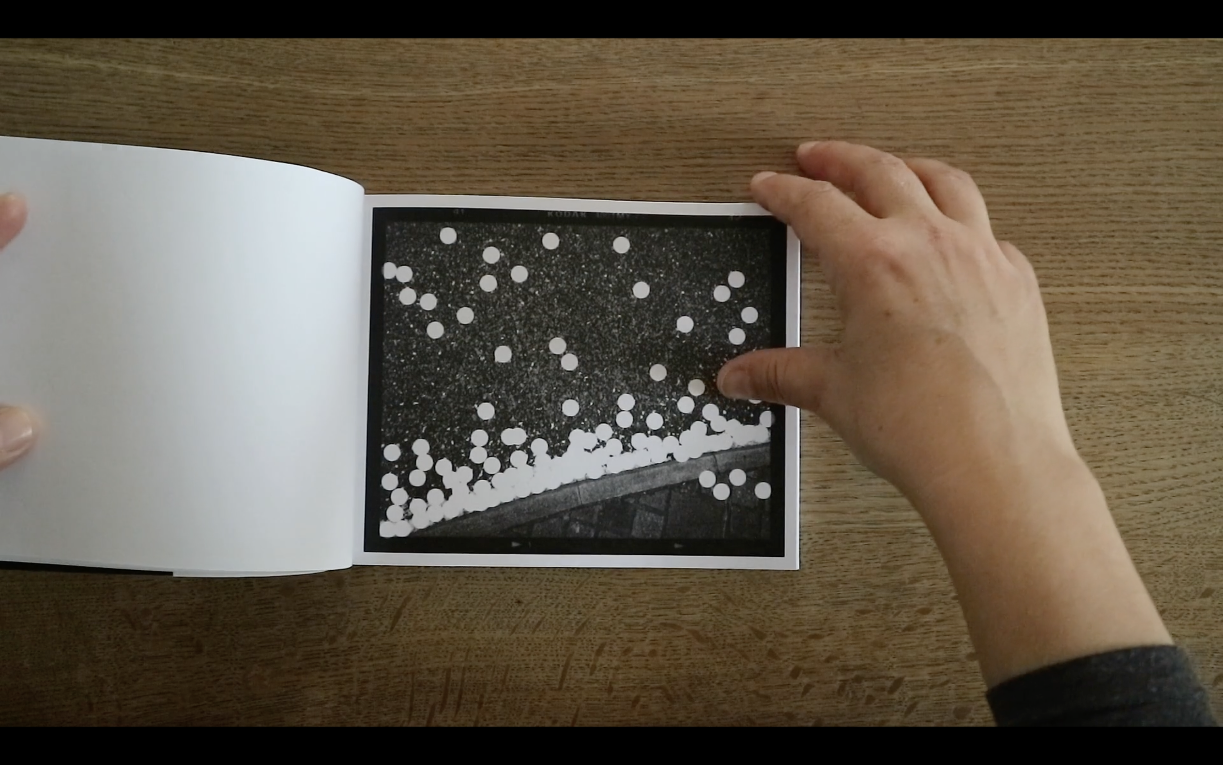 ’10,000 Fallen Petals’, 24 pages, essay by Duncan Woolridge, 2020 