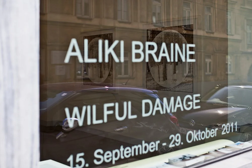 ‘Wilful Damage’, Galerie Raum mit Licht, Vienna, 2011