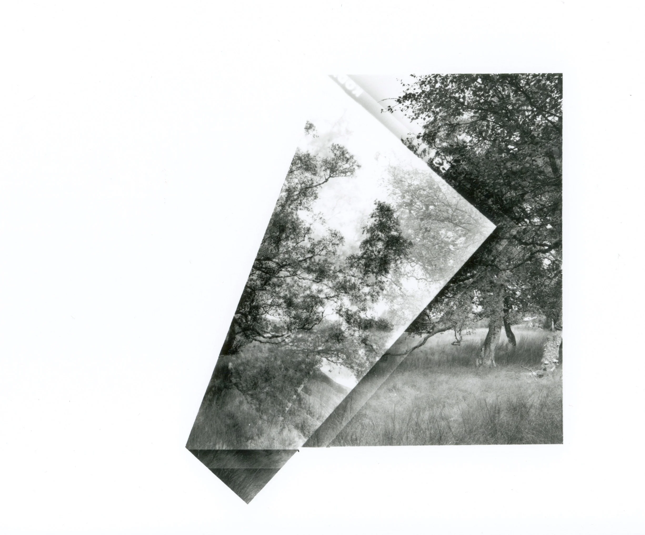 ‘Folded, Homage à Corot', black and white photograph from folded negative, 93 x 112 cm, 2016