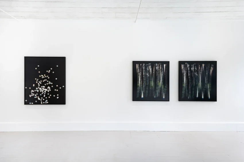 ‘Into The Woods', Benjamin Parsons x Hannah Payne, Photo Oxford Festival, Oxford, 2023