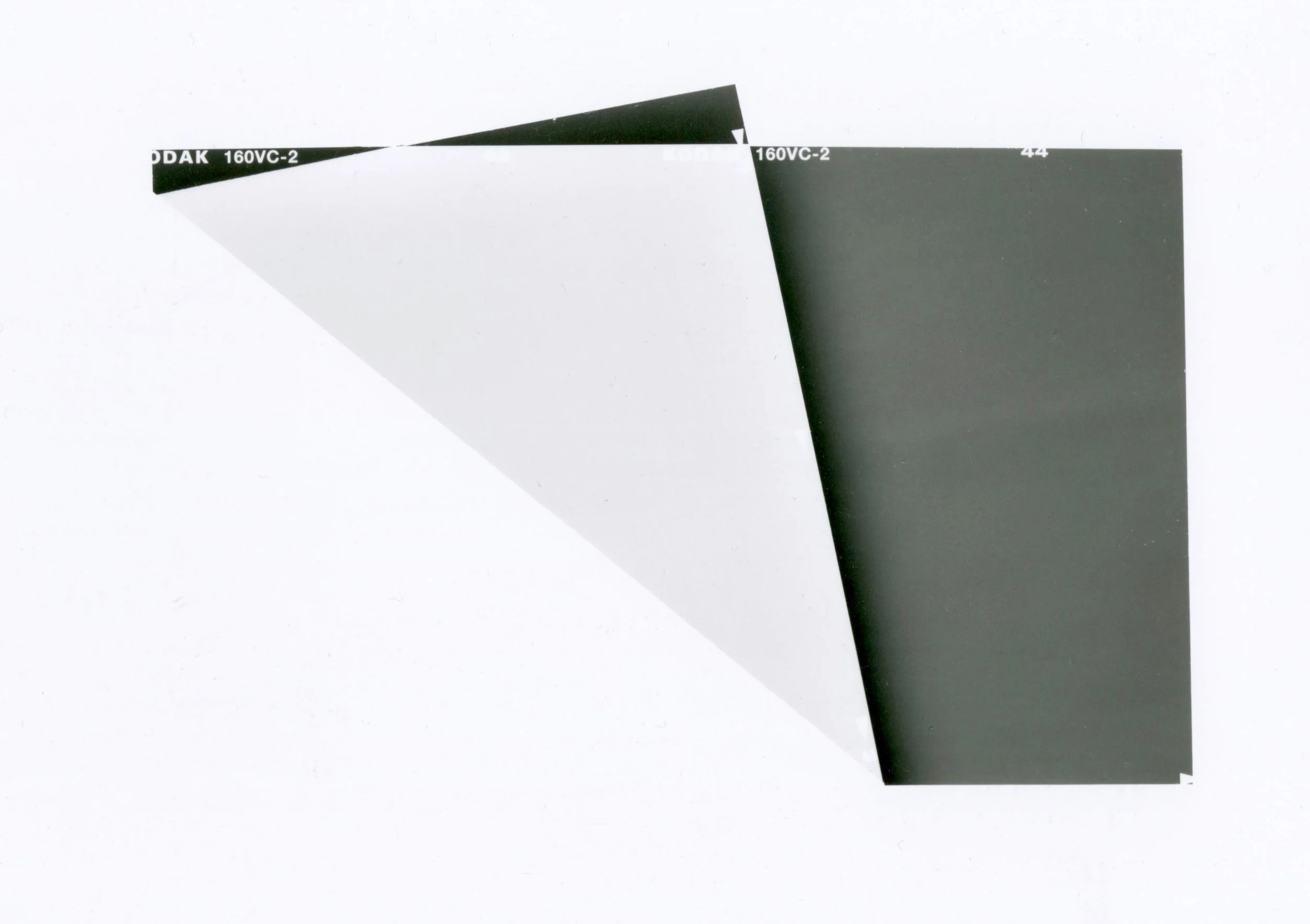 ’The Leaning Tree or In Search of a Perfect Diagonal,' black and white photograph from folded negative, 29 x 23 cm, 2015