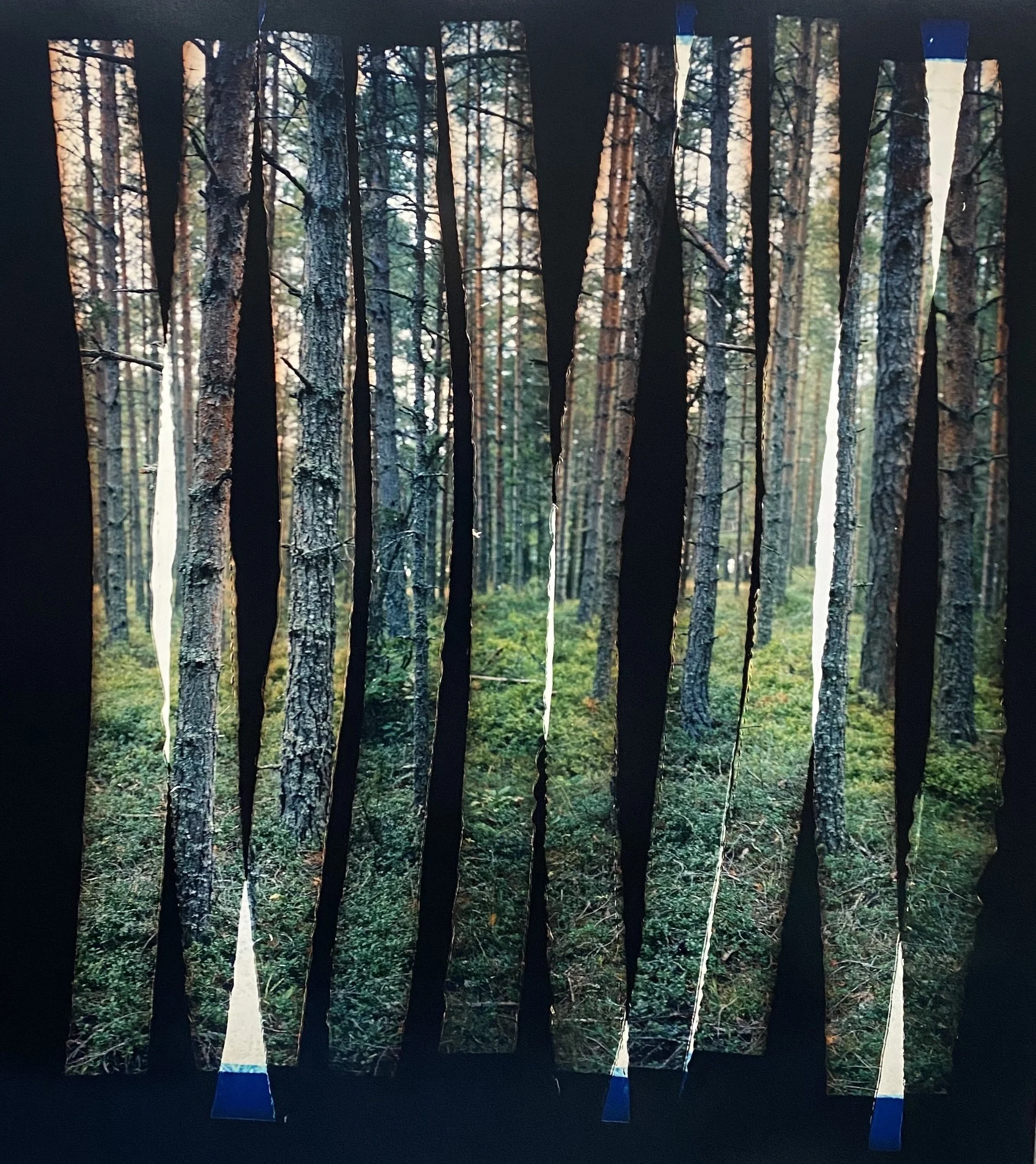 ‘Into The Woods’, unique colour photograph from shredded negative, 100 x 110 cm, 2023