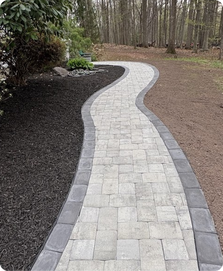 Curved stone pathway in a backyard, bordered by mulch and trees.