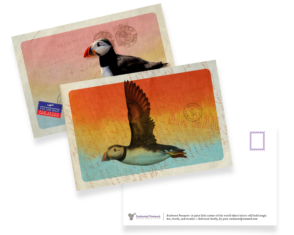 Inside the August Puffin Snail Mail Dispatch: Finding Your Way Home