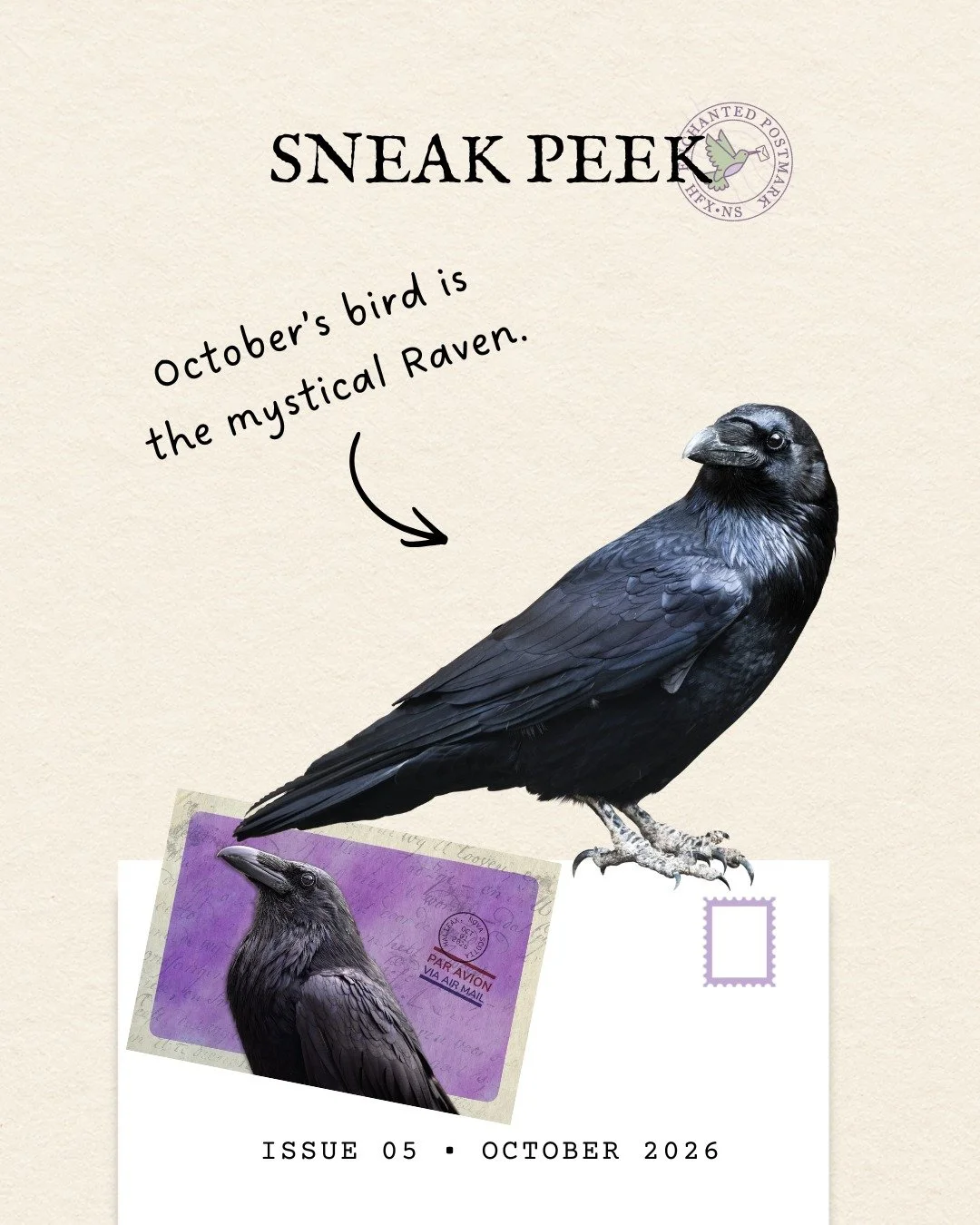 October is taking a darker turn. 🍂

Next month&rsquo;s Enchanted Postmark bird is the raven &mdash; clever, curious, a little mysterious, and perfectly suited to the changing season.

For centuries, ravens have appeared in stories, legends, folklore