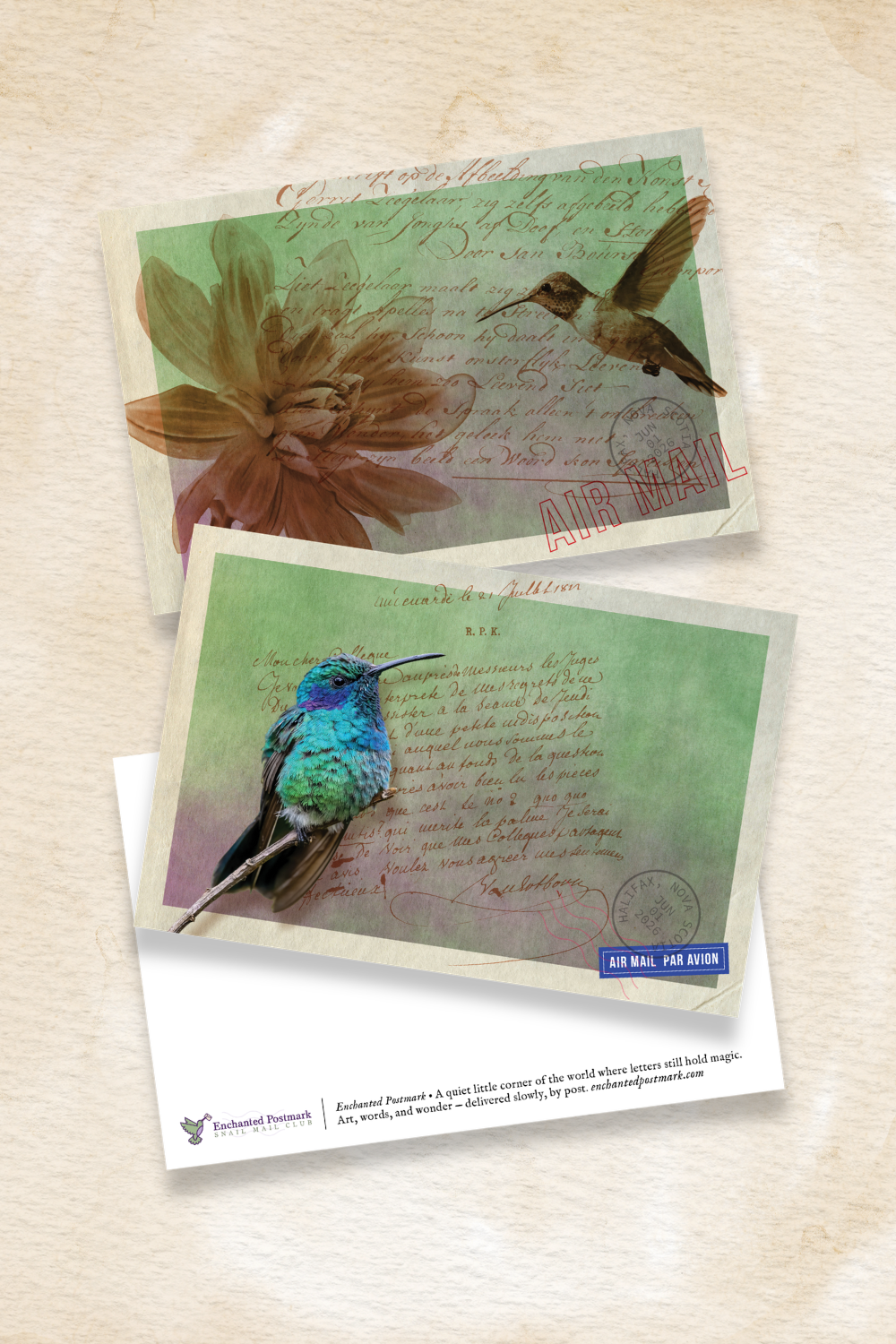 June Hummingbird Postcard Collection: The Joy of Correspondence
