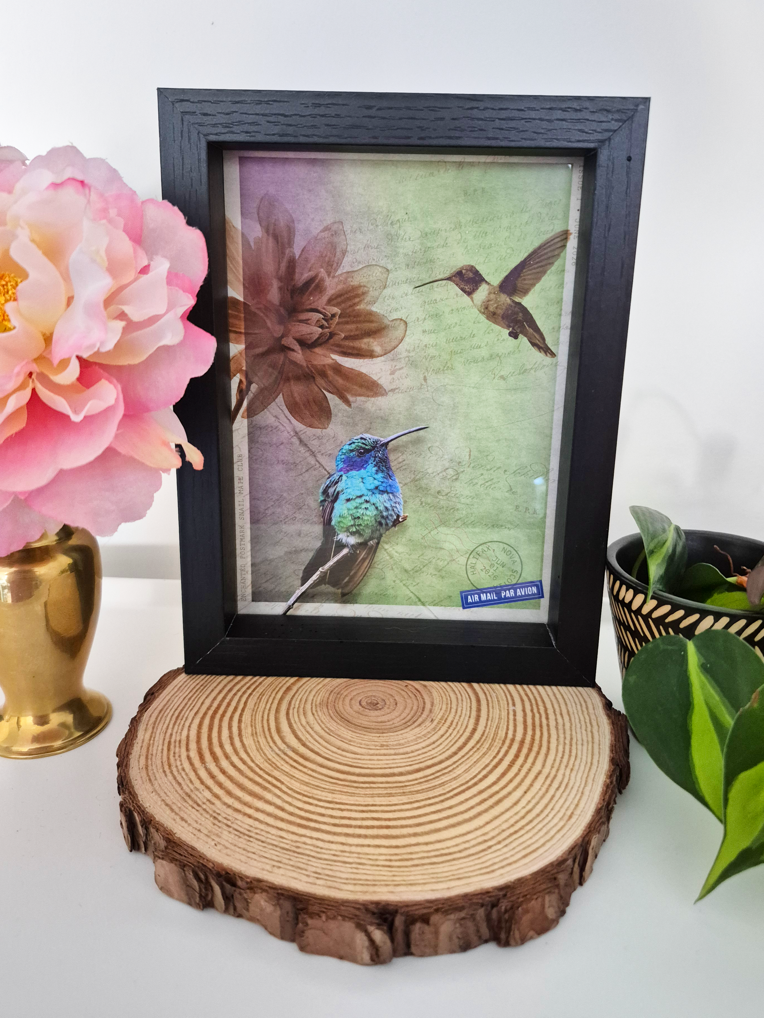 June-Hummingbird-Art-Print.png