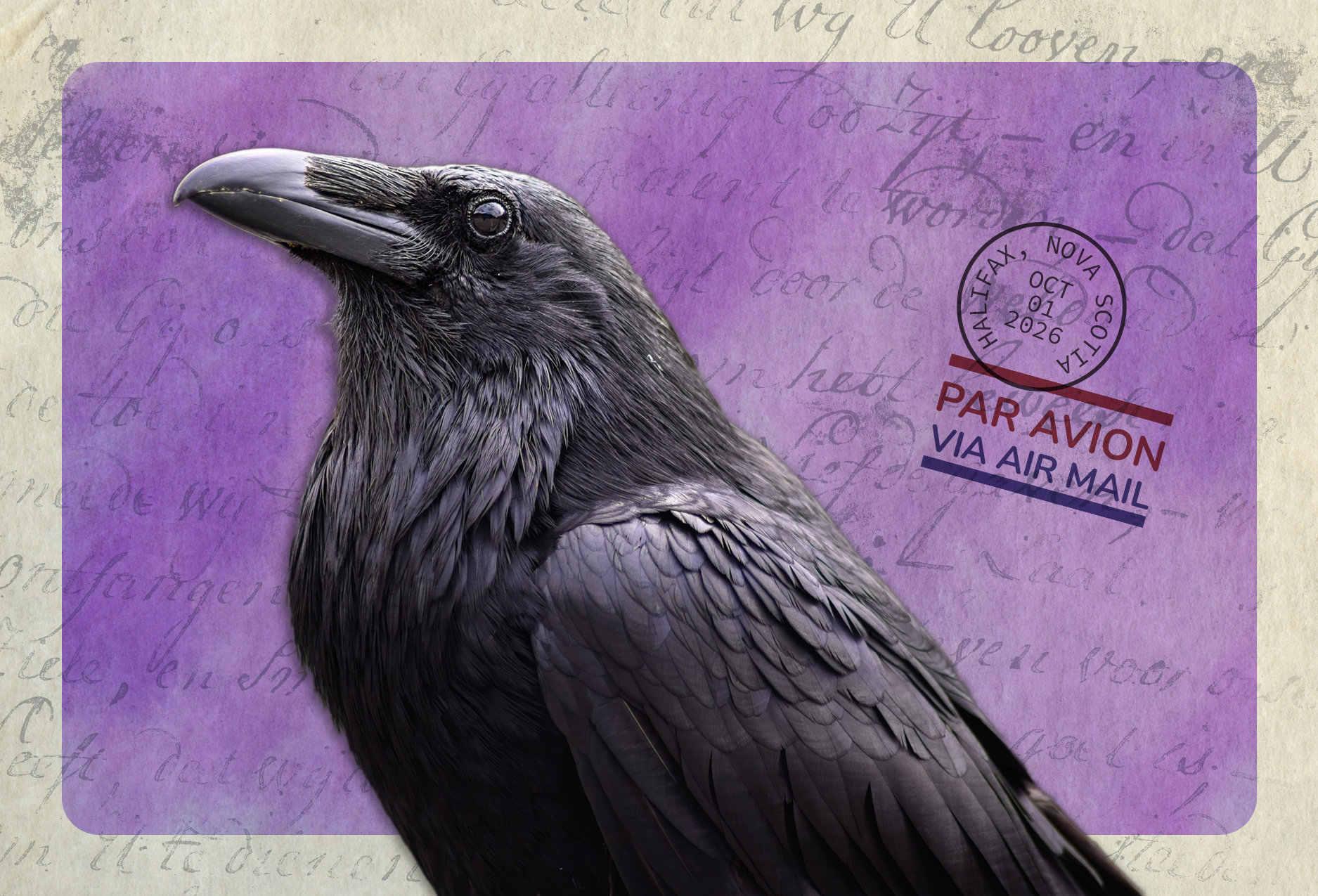 Raven on a postcard for October snail mail club.