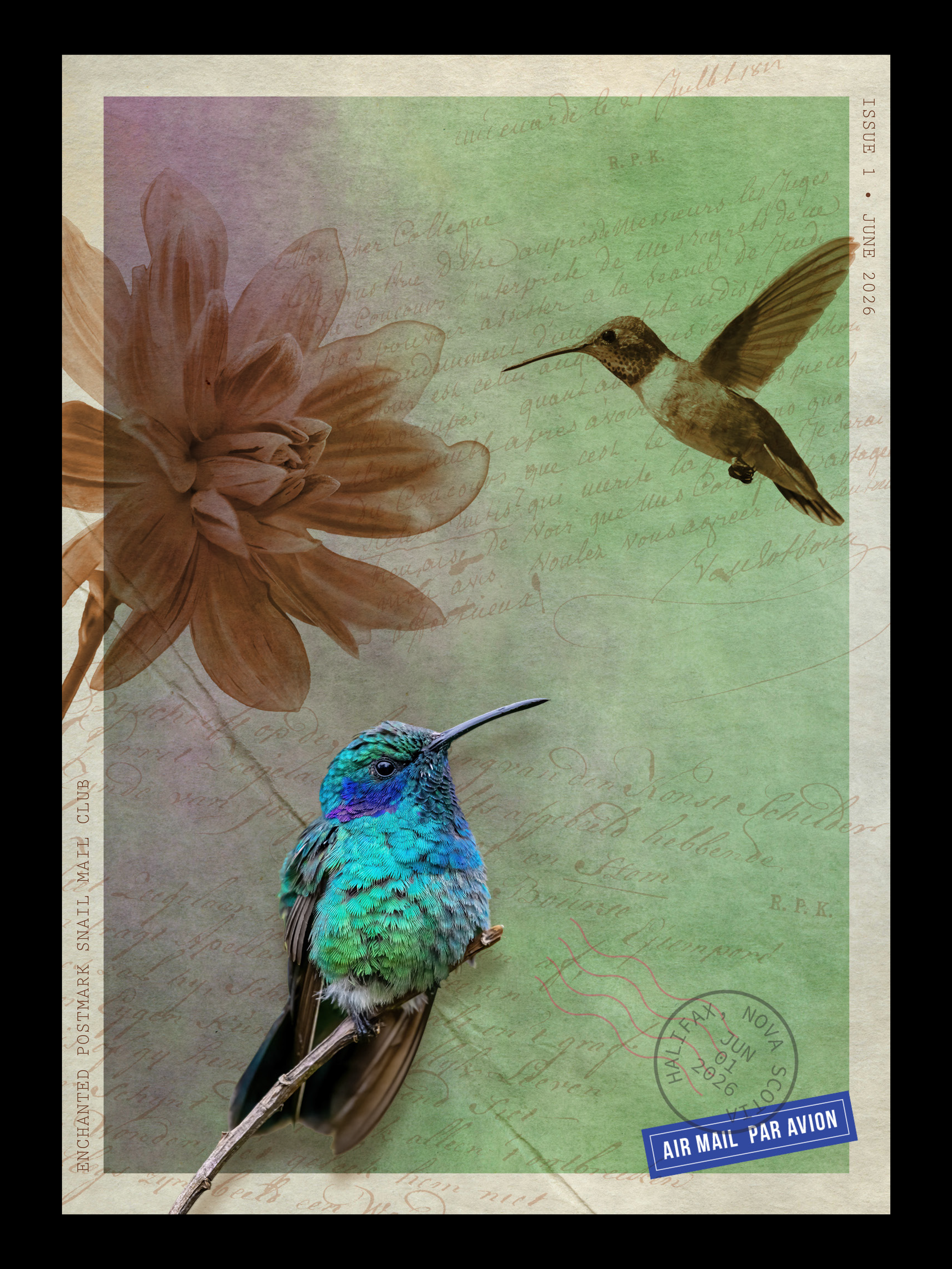 June-Hummingbird-Art-Print-2.png
