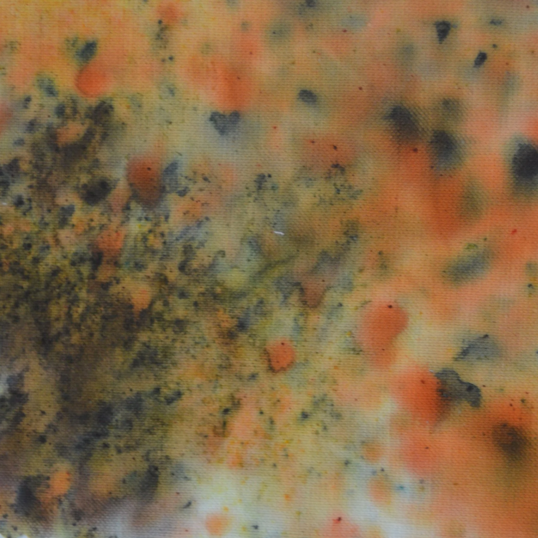 DSC_1221.png